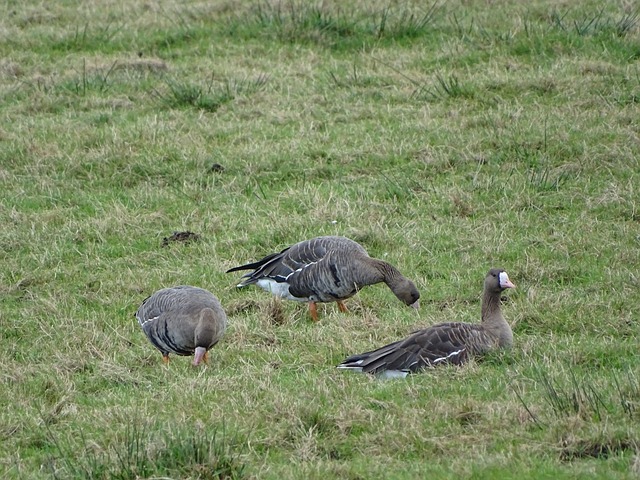 它提醒我们 它提醒我们