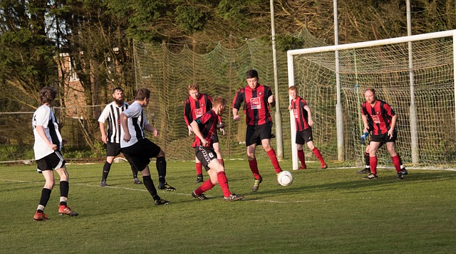 明星球员的 明星球员的