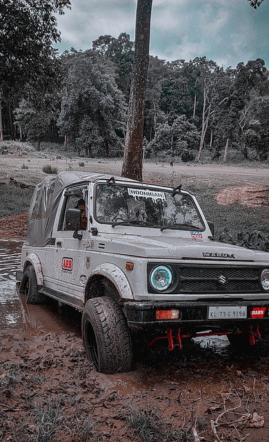 在某地方 在某地方