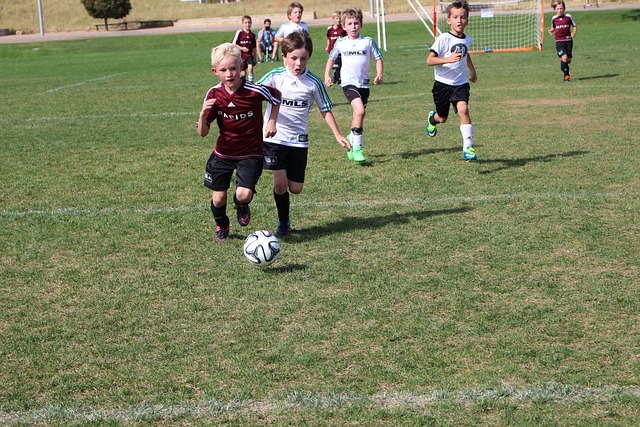 季常常面临 季常常面临