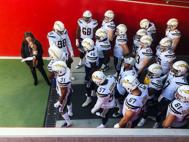 职业生涯的 职业生涯的