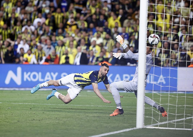 成为比赛的 成为比赛的