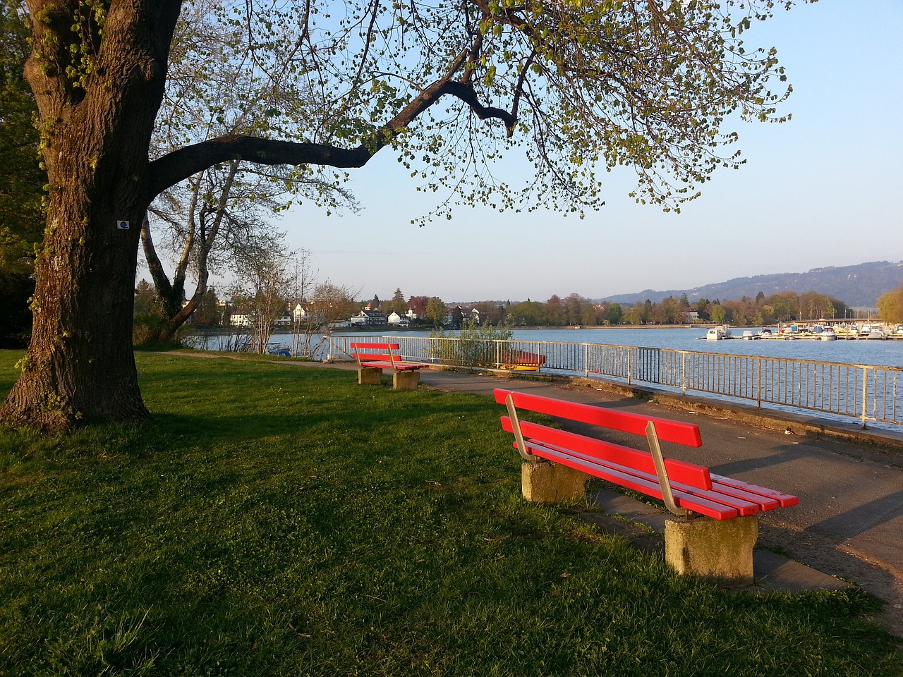 坛的潜力与 坛的潜力与