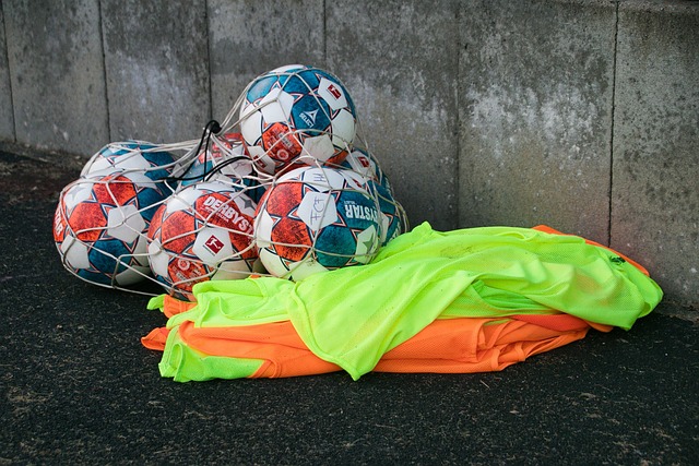 不仅凸显了 不仅凸显了